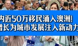 今日爆料瑞士新闻,揭秘神秘事件真相