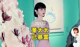 董太太最初爆料者视频,事件背后惊人真相