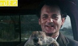 土拨鼠之日在线观看,穿越时空的奇妙循环